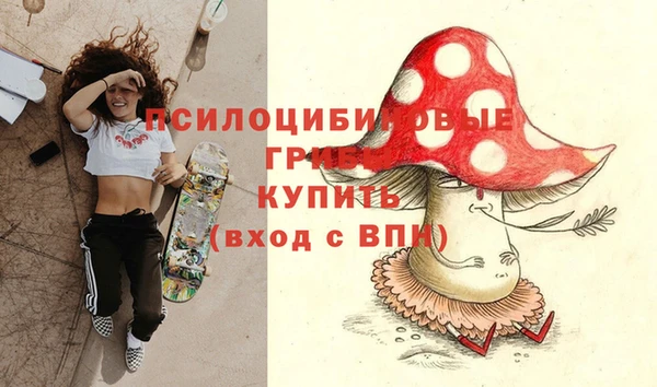 дживик Нефтекумск