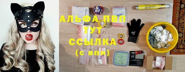 крисы Нея