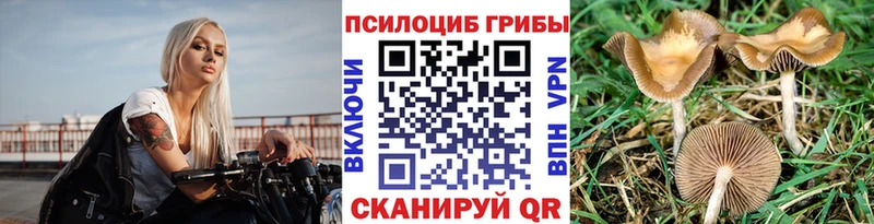 Галлюциногенные грибы мухоморы Купить закладки Канск
